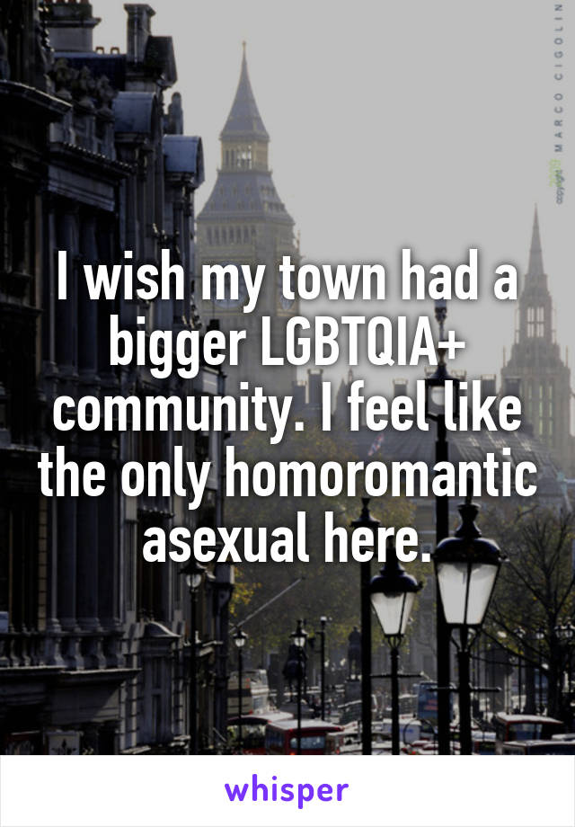 I wish my town had a bigger LGBTQIA+ community. I feel like the only homoromantic asexual here.