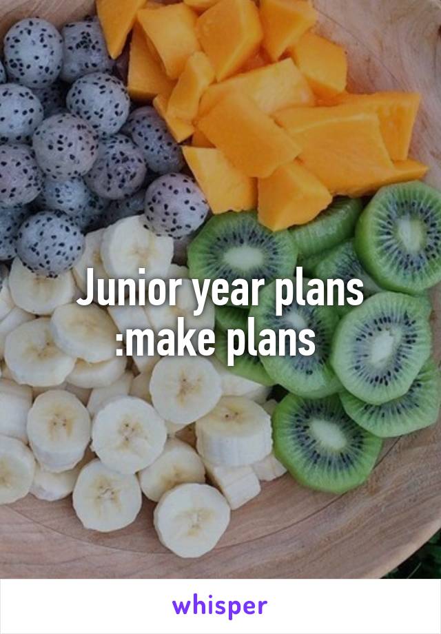 Junior year plans :make plans 