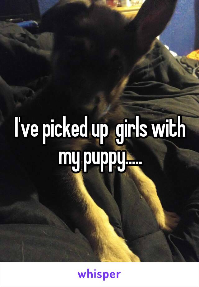 I've picked up  girls with my puppy.....