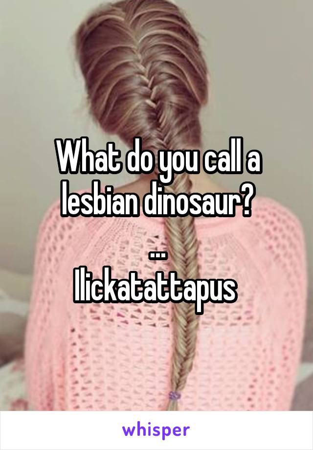 What do you call a lesbian dinosaur?
...
Ilickatattapus 