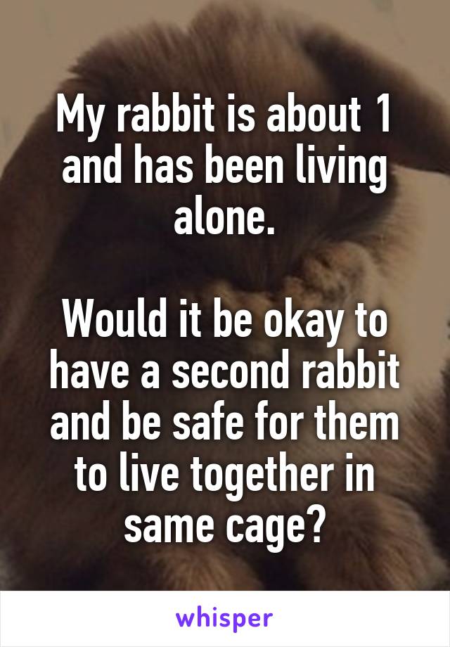 My rabbit is about 1 and has been living alone.

Would it be okay to have a second rabbit and be safe for them to live together in same cage?