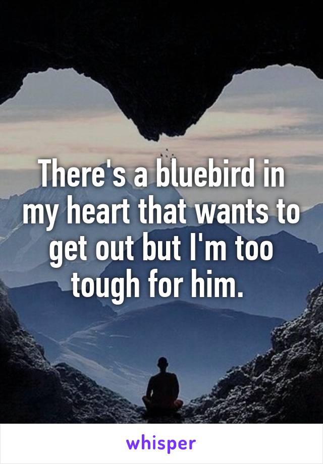 There's a bluebird in my heart that wants to get out but I'm too tough for him. 