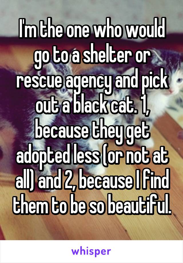 I'm the one who would go to a shelter or rescue agency and pick out a black cat. 1, because they get adopted less (or not at all) and 2, because I find them to be so beautiful. 