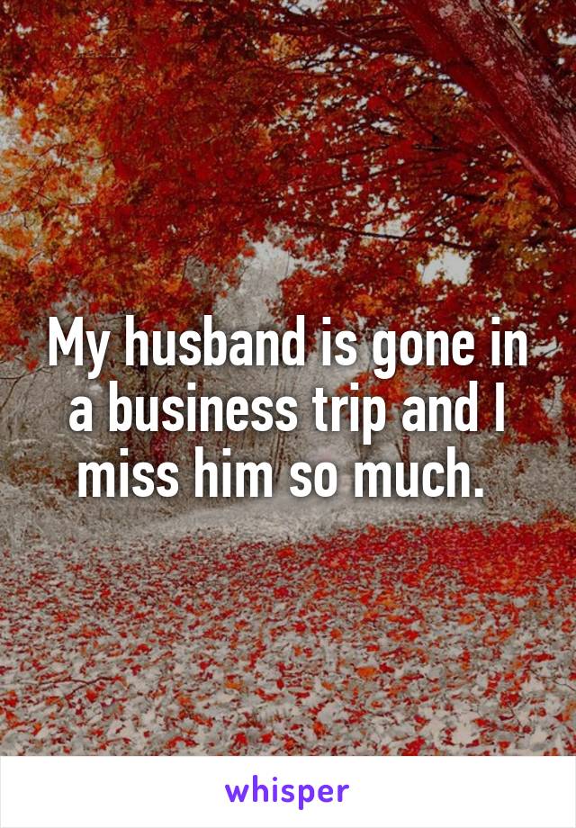 My husband is gone in a business trip and I miss him so much. 