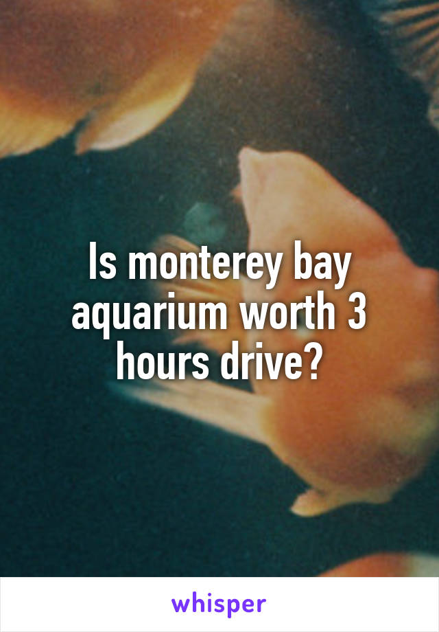 Is monterey bay aquarium worth 3 hours drive?