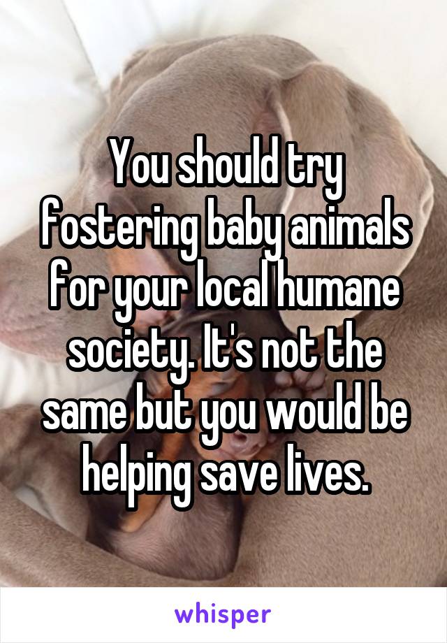 You should try fostering baby animals for your local humane society. It's not the same but you would be helping save lives.