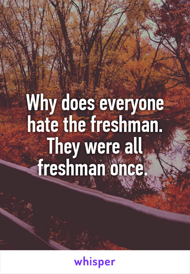 Why does everyone hate the freshman. They were all freshman once. 