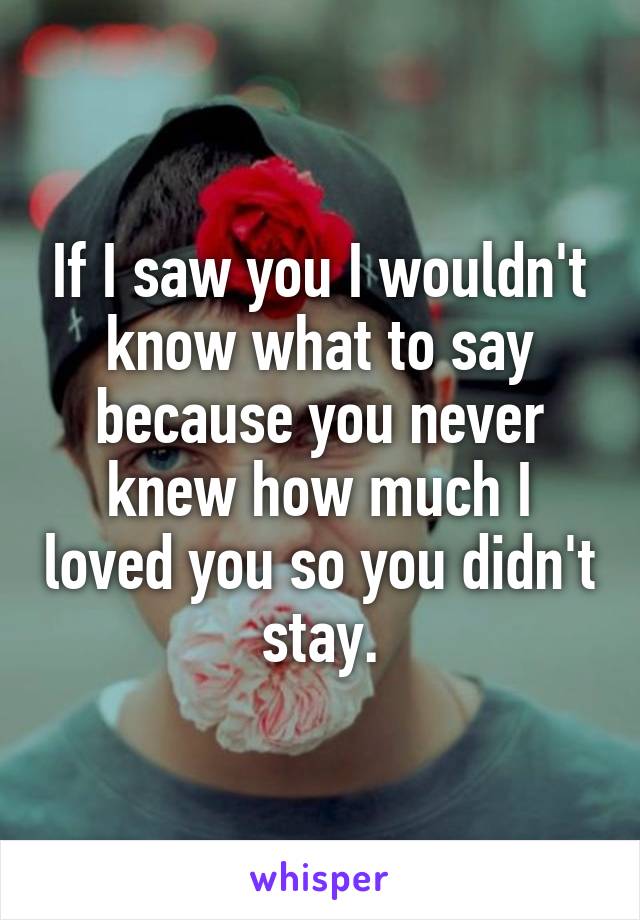 If I saw you I wouldn't know what to say because you never knew how much I loved you so you didn't stay.