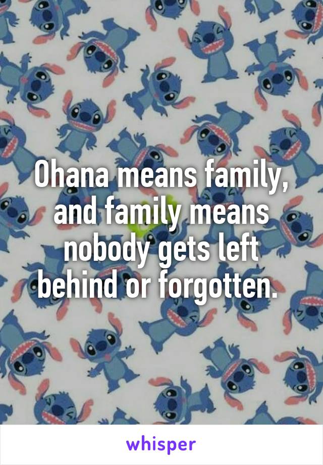 Ohana means family, and family means nobody gets left behind or forgotten. 