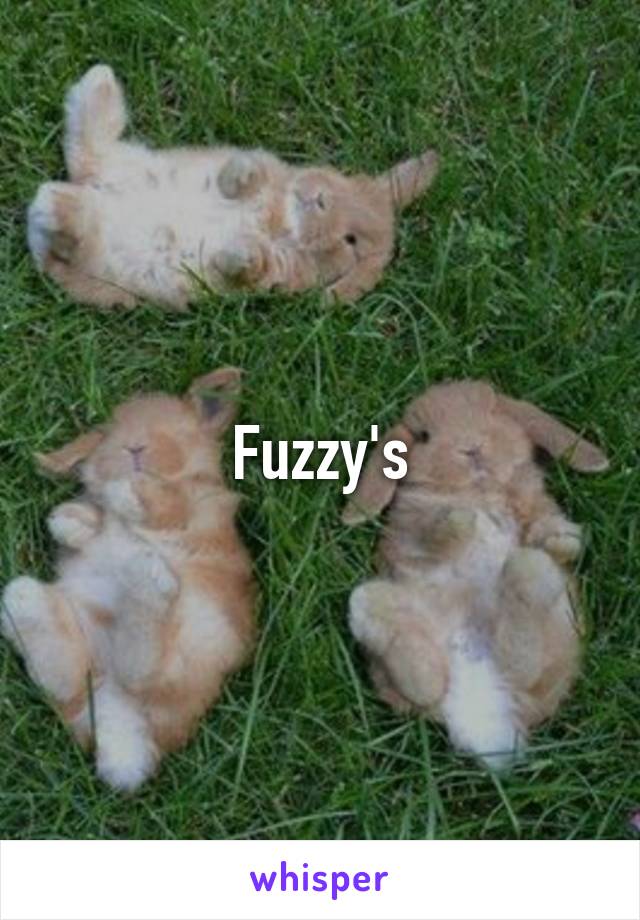 Fuzzy's