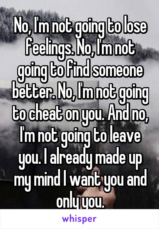 No, I'm not going to lose feelings. No, I'm not going to find someone better. No, I'm not going to cheat on you. And no, I'm not going to leave you. I already made up my mind I want you and only you.