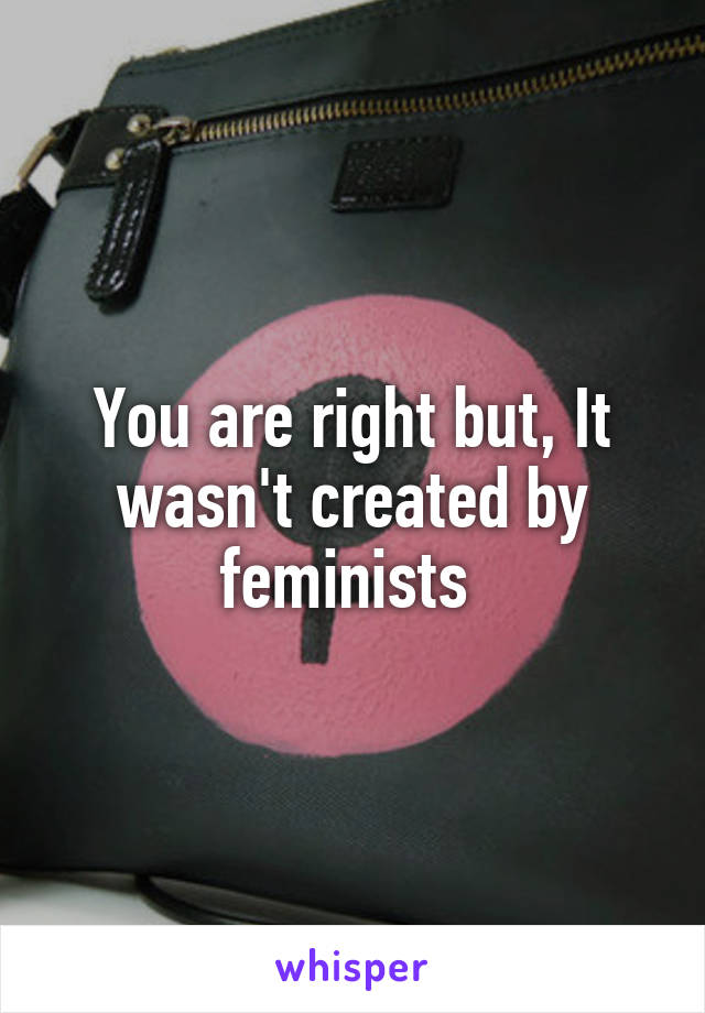 You are right but, It wasn't created by feminists 