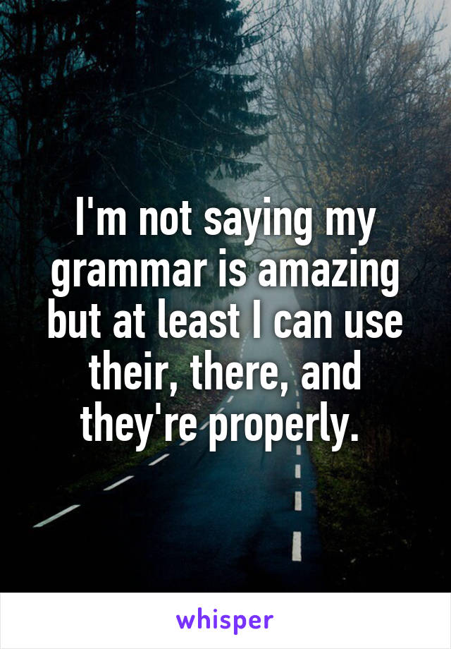 I'm not saying my grammar is amazing but at least I can use their, there, and they're properly. 