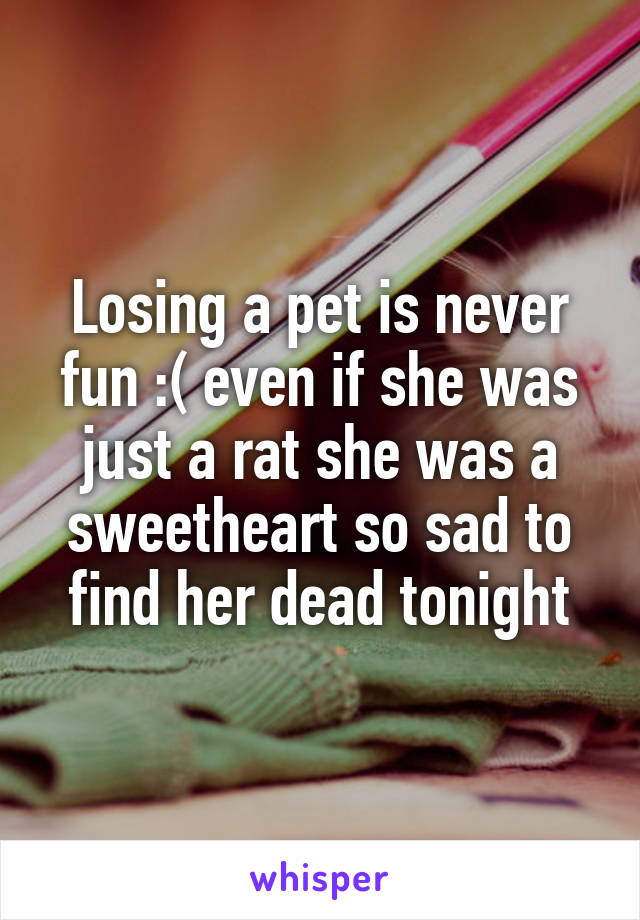 Losing a pet is never fun :( even if she was just a rat she was a sweetheart so sad to find her dead tonight