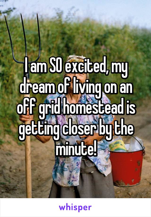 I am SO excited, my dream of living on an off grid homestead is getting closer by the minute!