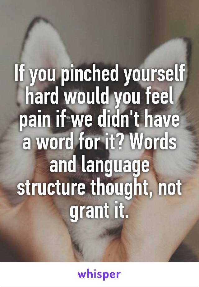 If you pinched yourself hard would you feel pain if we didn't have a word for it? Words and language structure thought, not grant it.