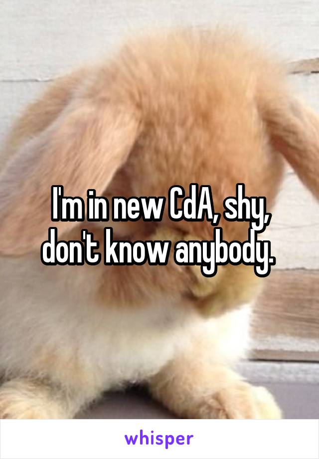 I'm in new CdA, shy, don't know anybody. 