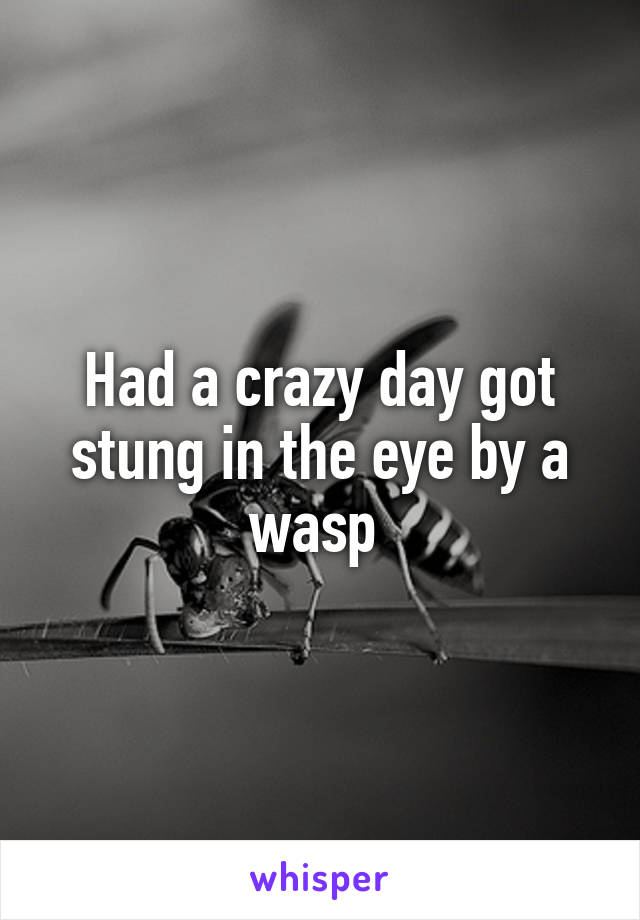 Had a crazy day got stung in the eye by a wasp 