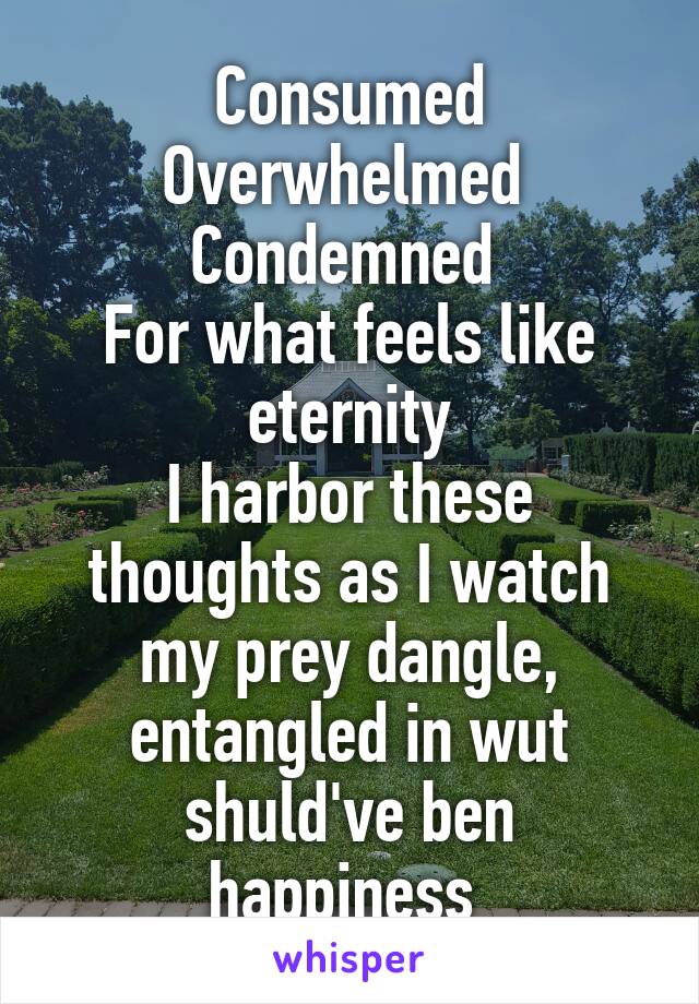 Consumed Overwhelmed 
Condemned 
For what feels like eternity
I harbor these thoughts as I watch my prey dangle, entangled in wut shuld've ben happiness 