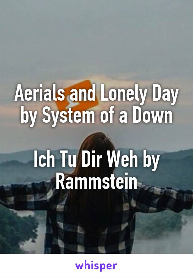 Aerials and Lonely Day by System of a Down

Ich Tu Dir Weh by Rammstein