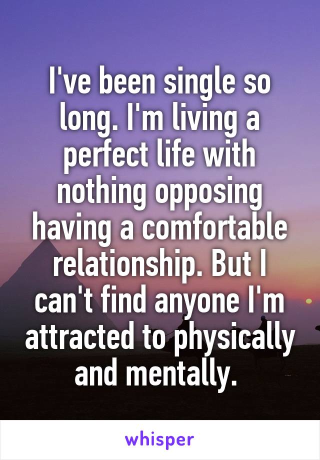 I've been single so long. I'm living a perfect life with nothing opposing having a comfortable relationship. But I can't find anyone I'm attracted to physically and mentally. 