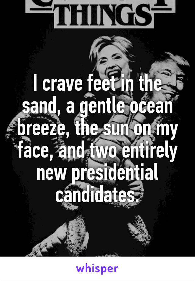 I crave feet in the sand, a gentle ocean breeze, the sun on my face, and two entirely new presidential candidates.