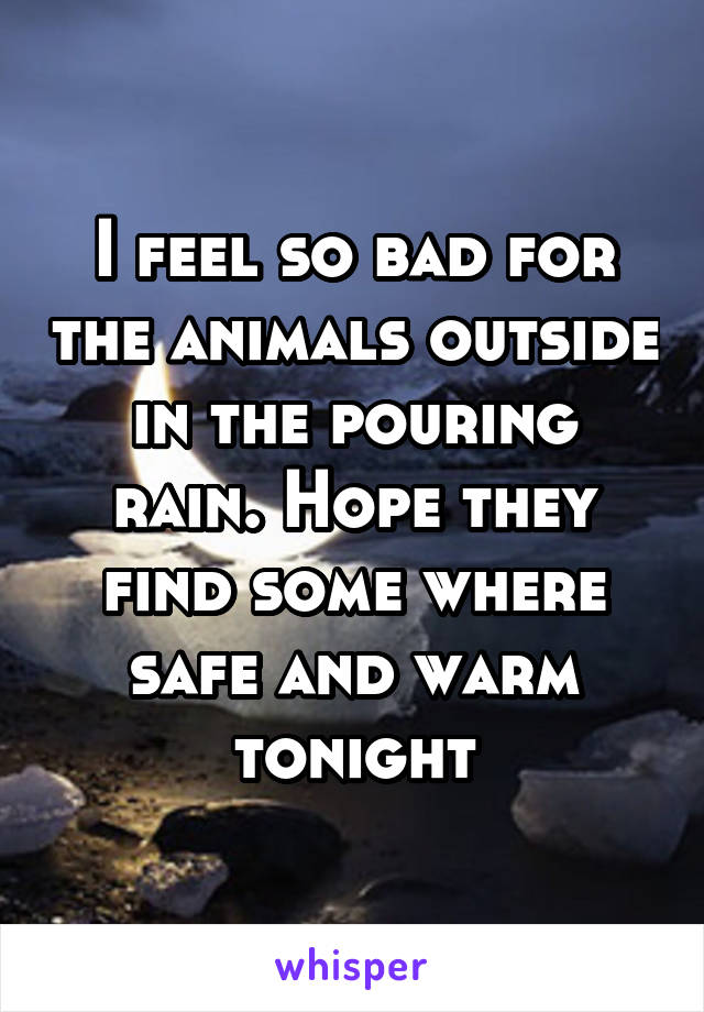 I feel so bad for the animals outside in the pouring rain. Hope they find some where safe and warm tonight