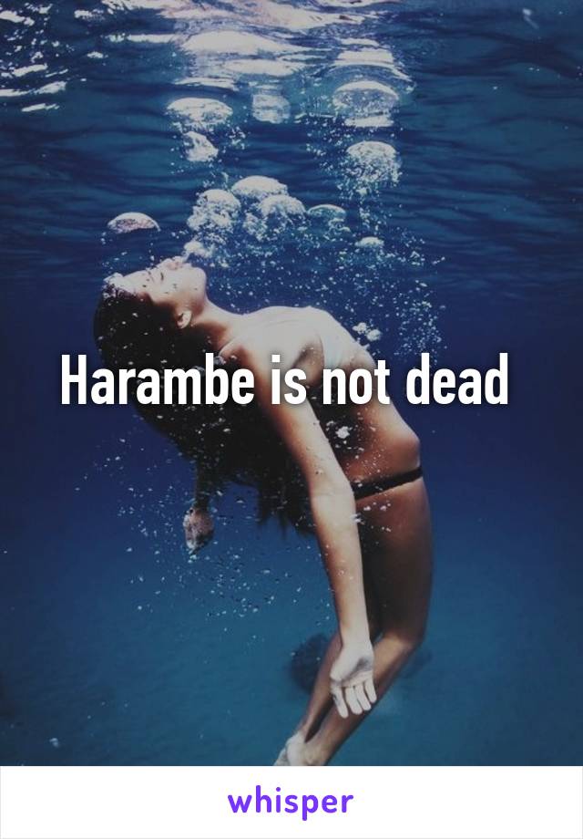 Harambe is not dead 
