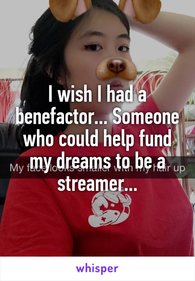 I wish I had a benefactor... Someone who could help fund my dreams to be a streamer...