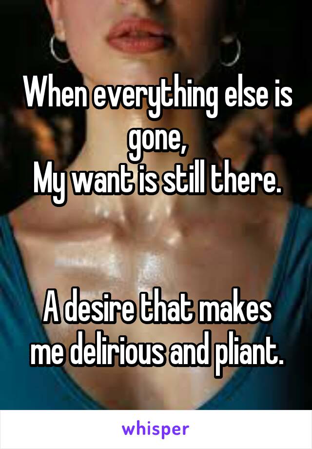 When everything else is gone,
My want is still there.


A desire that makes me delirious and pliant.