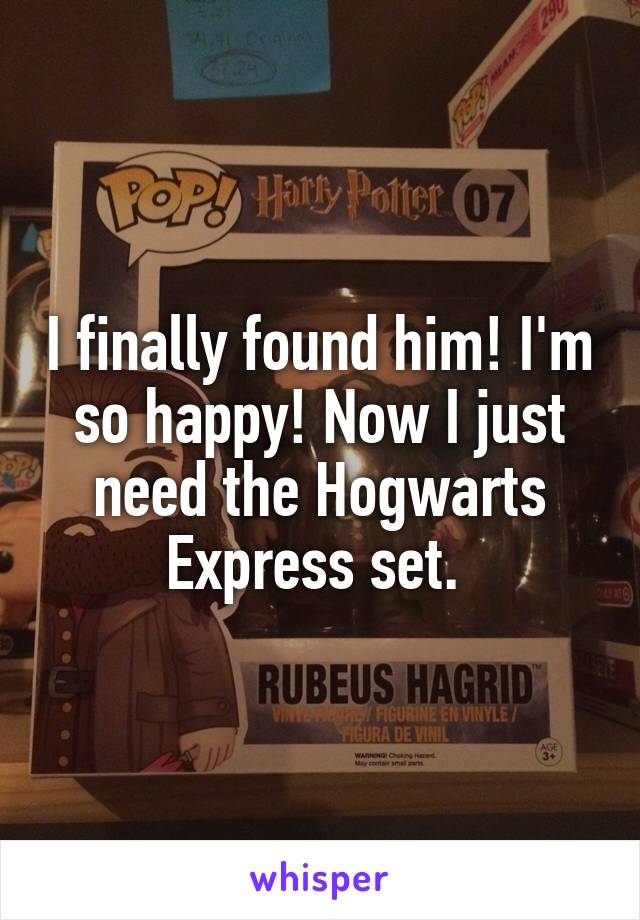 I finally found him! I'm so happy! Now I just need the Hogwarts Express set. 