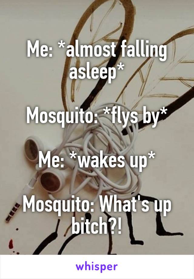 Me: *almost falling asleep*

Mosquito: *flys by*

Me: *wakes up*

Mosquito: What's up bitch?!