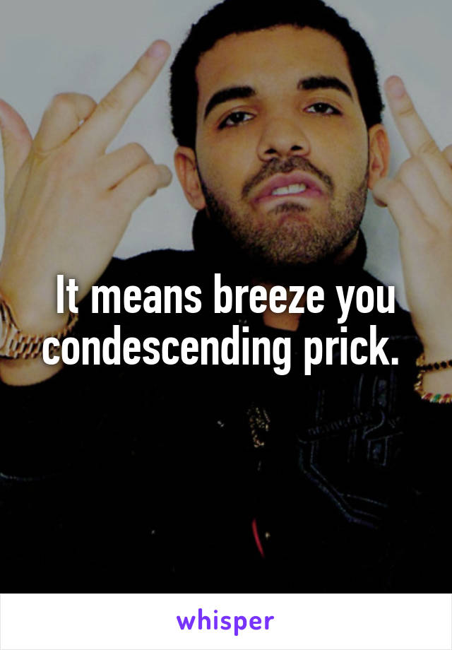 It means breeze you condescending prick. 