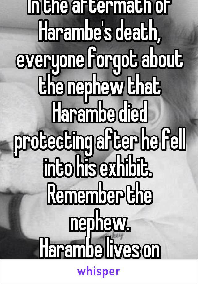 In the aftermath of Harambe's death, everyone forgot about the nephew that Harambe died protecting after he fell into his exhibit. 
Remember the nephew.
Harambe lives on through him.