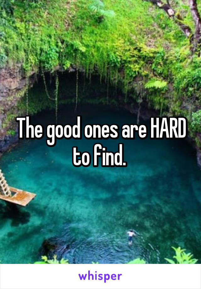 The good ones are HARD to find. 