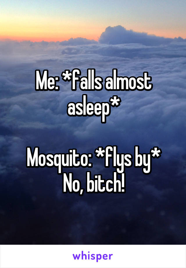 Me: *falls almost asleep*

Mosquito: *flys by* No, bitch!