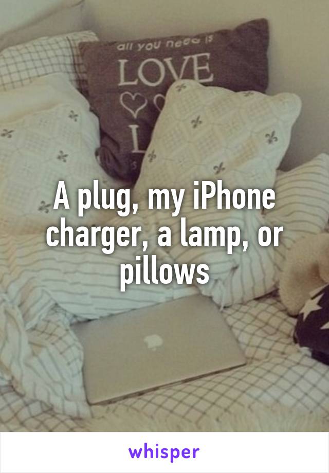 A plug, my iPhone charger, a lamp, or pillows