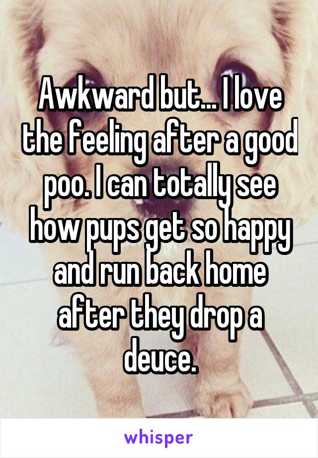 Awkward but... I love the feeling after a good poo. I can totally see how pups get so happy and run back home after they drop a deuce.