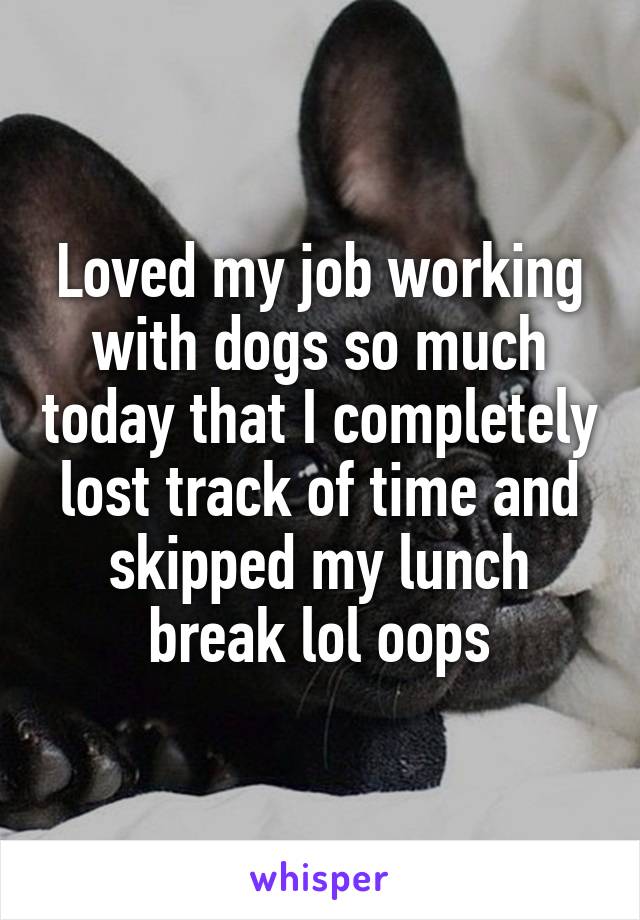 Loved my job working with dogs so much today that I completely lost track of time and skipped my lunch break lol oops