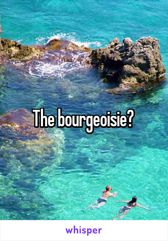 The bourgeoisie? 