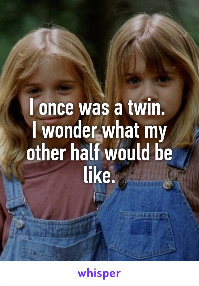 I once was a twin. 
I wonder what my other half would be like.