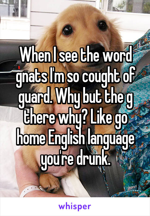 When I see the word gnats I'm so cought of guard. Why but the g there why? Like go home English language you're drunk.