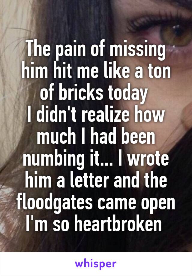 The pain of missing him hit me like a ton of bricks today 
I didn't realize how much I had been numbing it... I wrote him a letter and the floodgates came open I'm so heartbroken 