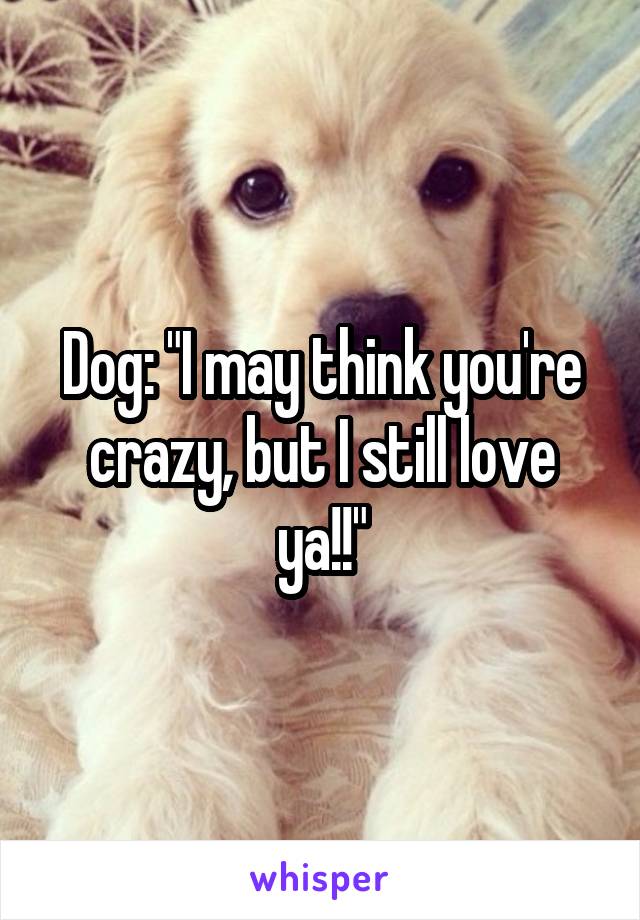 Dog: "I may think you're crazy, but I still love ya!!"