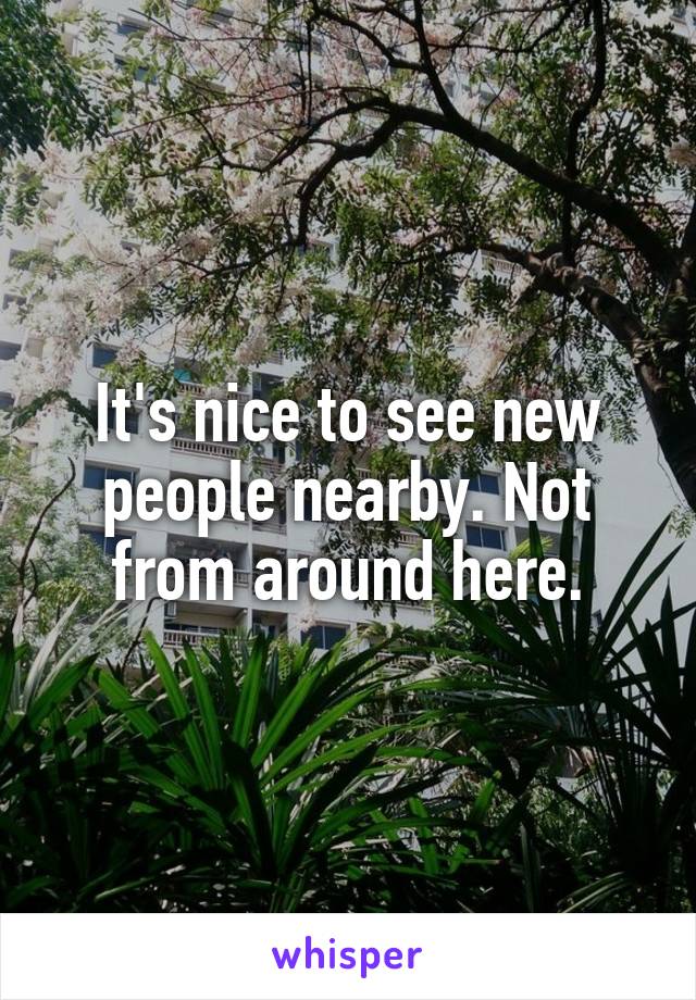 It's nice to see new people nearby. Not from around here.