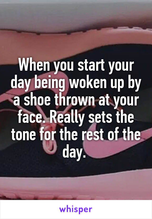 When you start your day being woken up by a shoe thrown at your face. Really sets the tone for the rest of the day. 