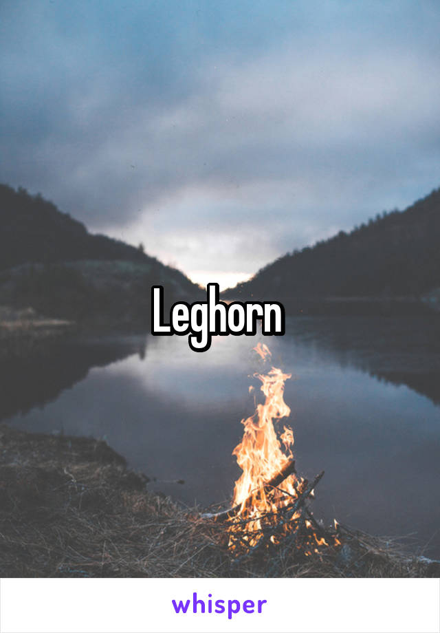 Leghorn 