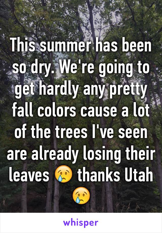 This summer has been so dry. We're going to get hardly any pretty fall colors cause a lot of the trees I've seen are already losing their leaves 😢 thanks Utah 😢