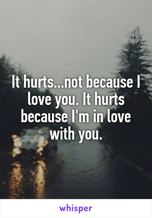 It hurts...not because I love you. It hurts because I'm in love with you.