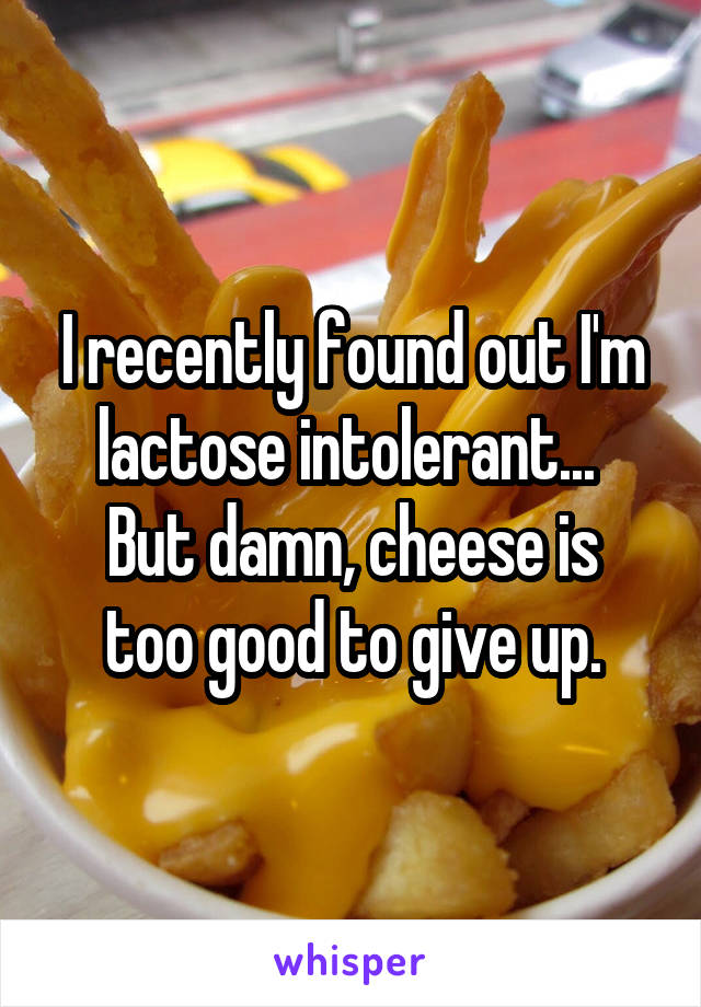 I recently found out I'm lactose intolerant... 
But damn, cheese is too good to give up.